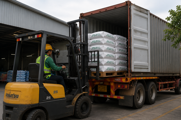 Forklift loading fertilizer bags into shipping container